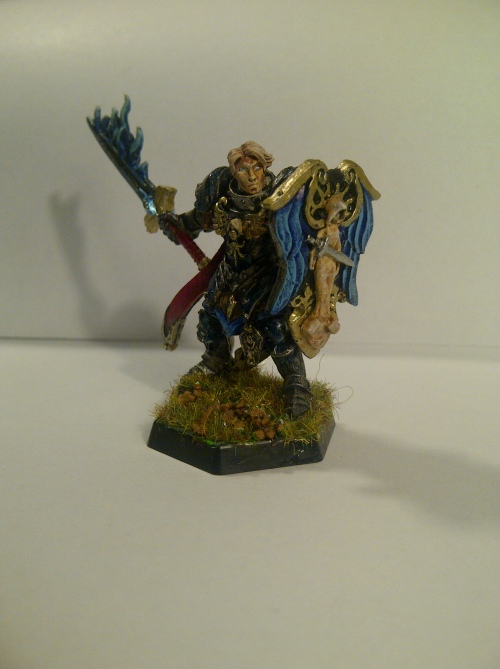 Paladin with sword and sheild of Fancyness +5
